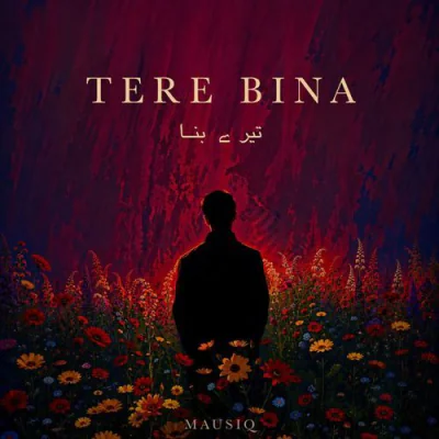 Tere Bina